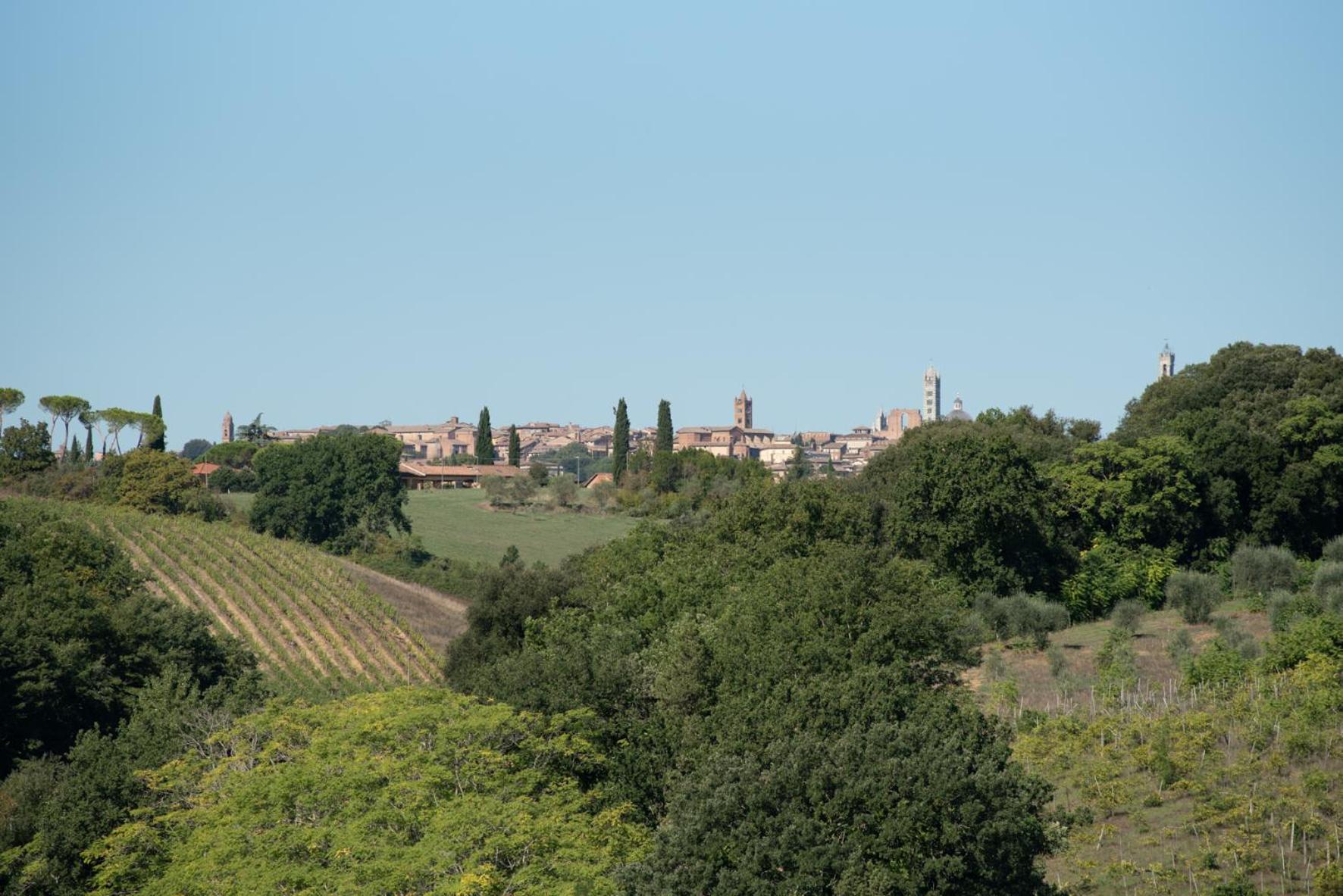 Agriturismo Il Colle Сиена Экстерьер фото