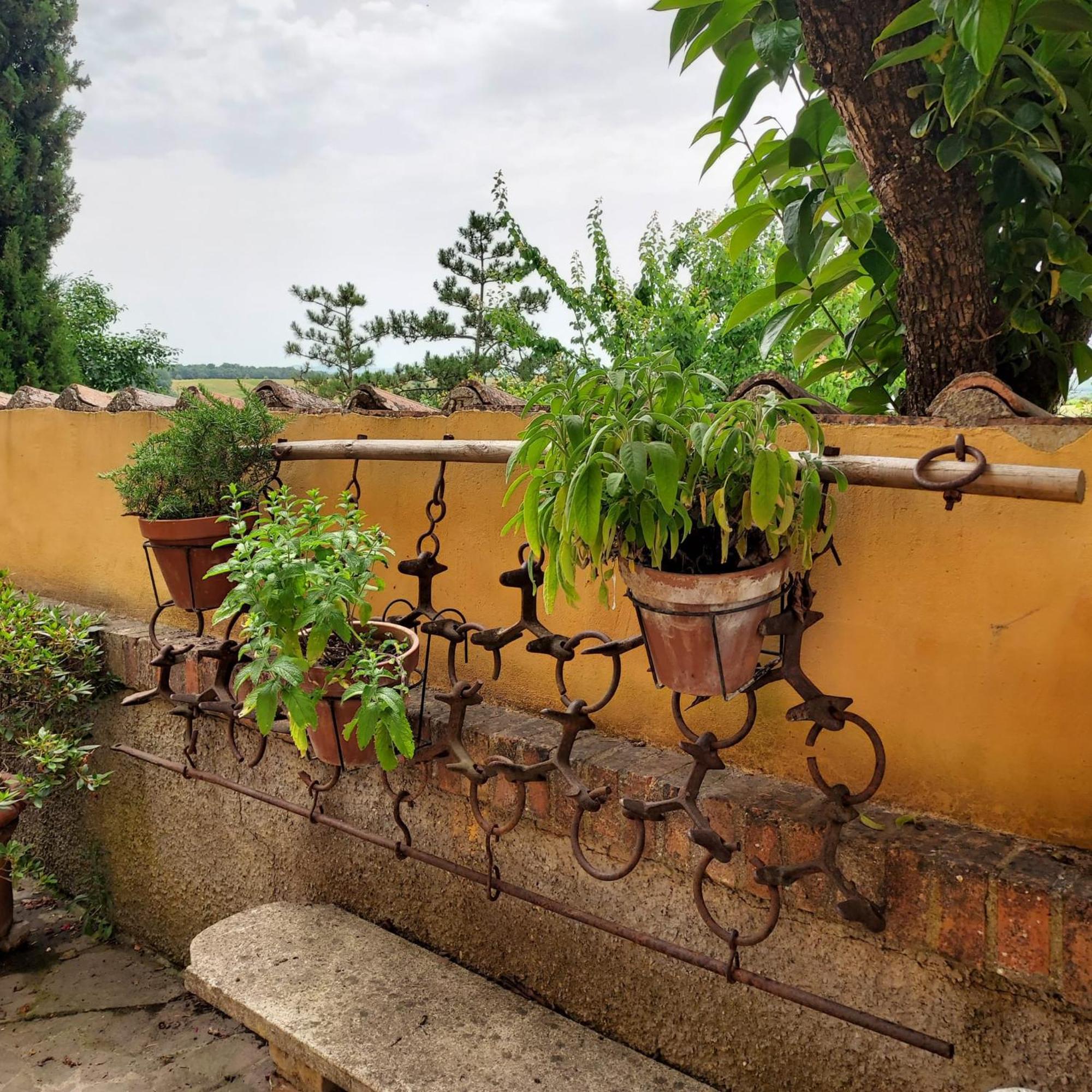 Agriturismo Il Colle Сиена Экстерьер фото