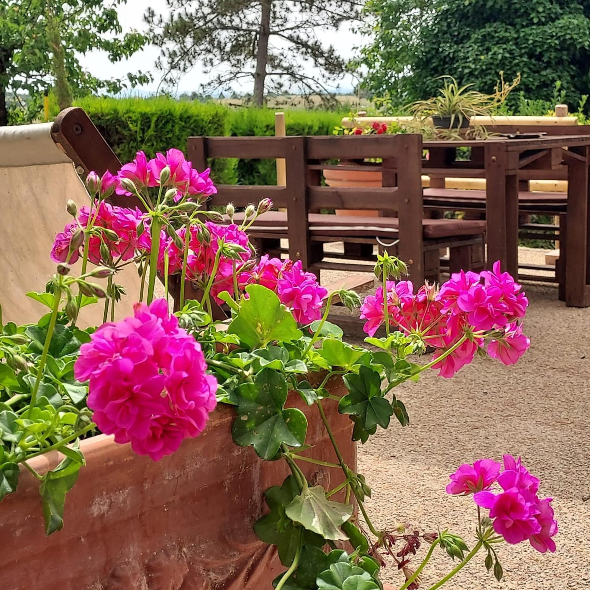 Agriturismo Il Colle Сиена Экстерьер фото