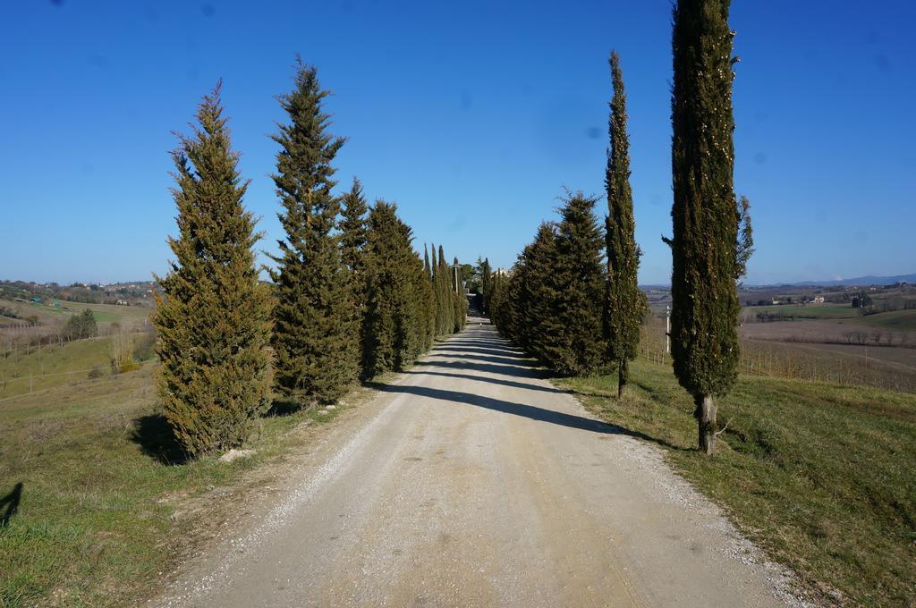 Agriturismo Il Colle Сиена Экстерьер фото